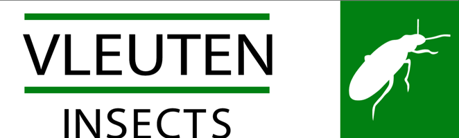 Vleuten Insects