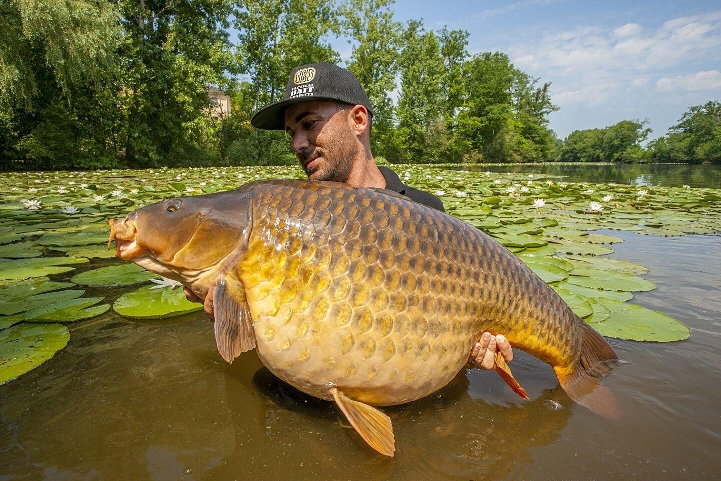 Karpervissers aan het water
