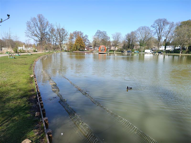 Roeivijver