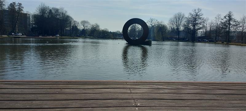 Roeivijver