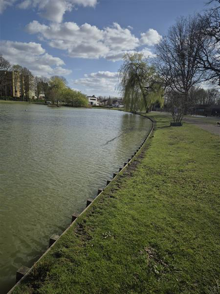 Roeivijver