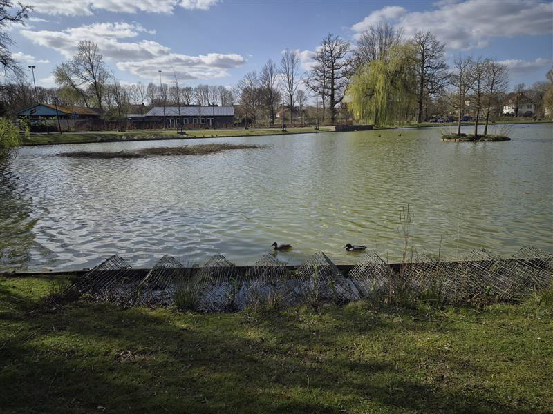 Roeivijver
