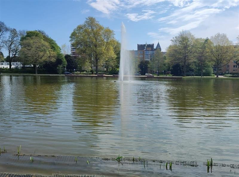 Roeivijver