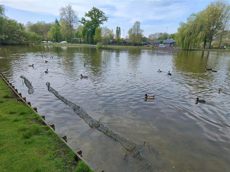 Roeivijver
