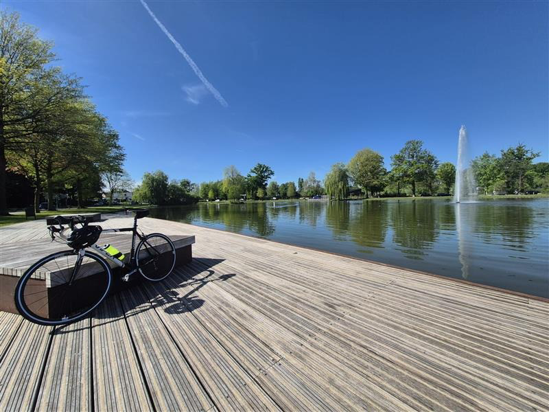Roeivijver