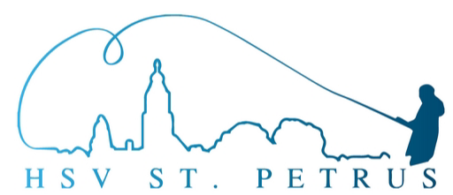Website Logo