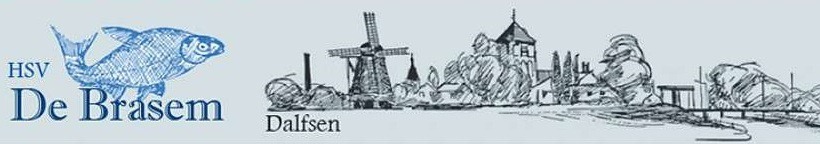 Website Logo