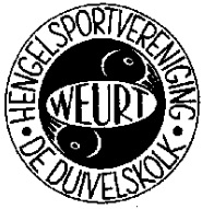 Website Logo