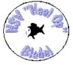 Website Logo