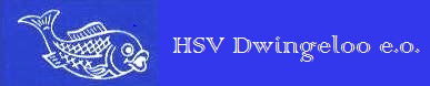 Website Logo