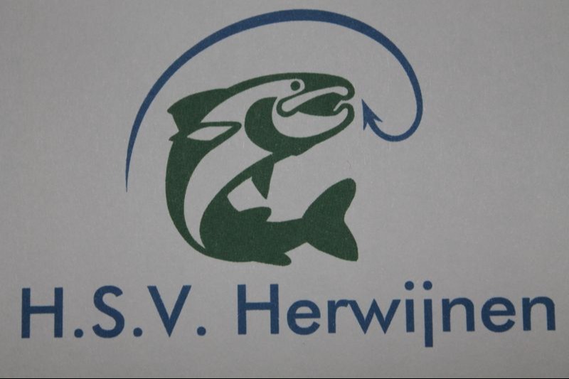 Website Logo