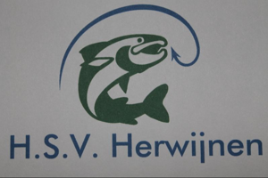 Website Logo