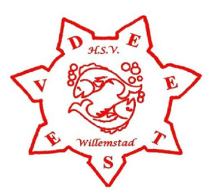 Website Logo