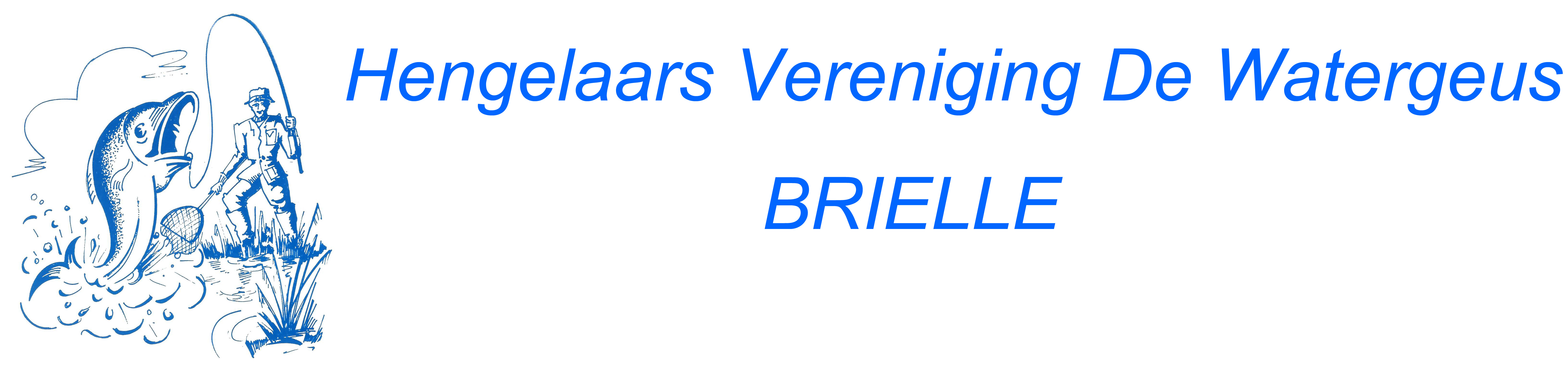 Website Logo