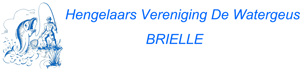 Website Logo