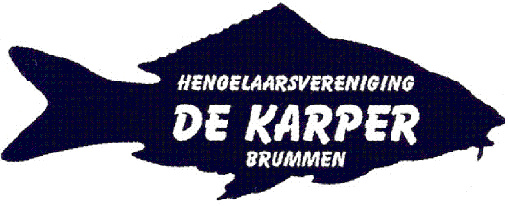 Website Logo