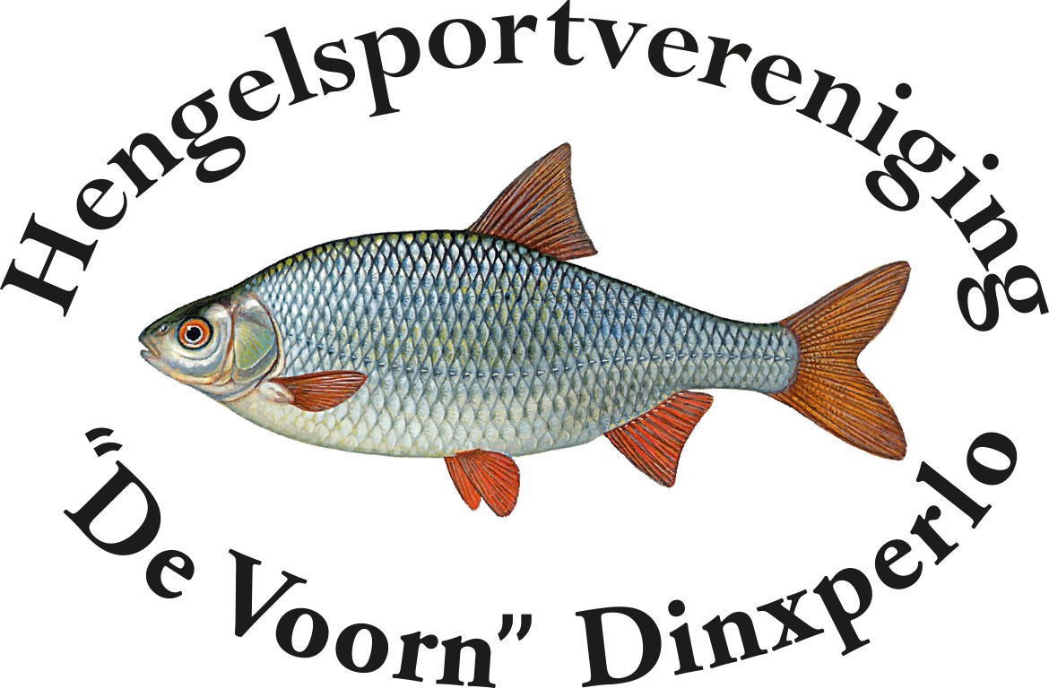 Website Logo