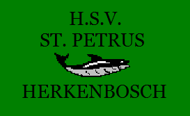 Website Logo