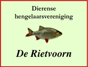 Website Logo