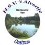 Website Logo