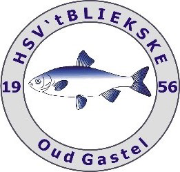Website Logo