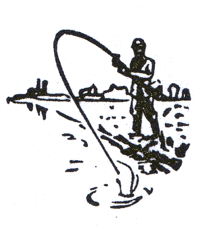 Website Logo