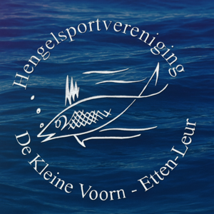 Website Logo