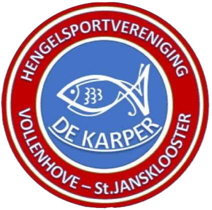Website Logo