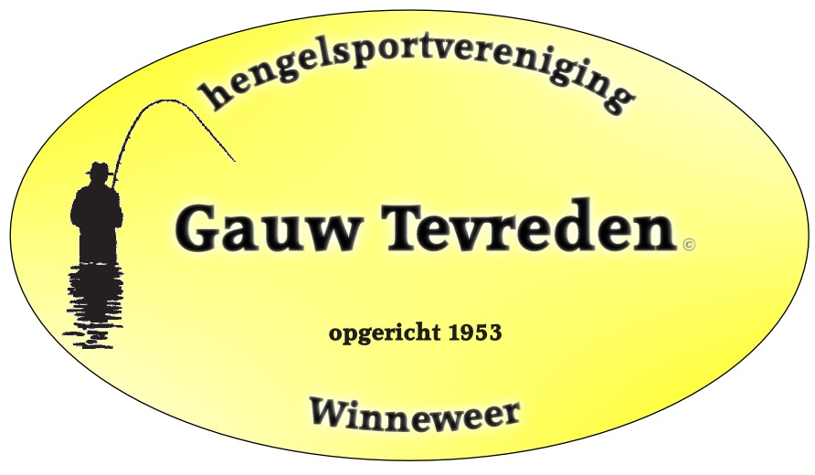 Website Logo
