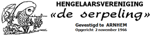Website Logo