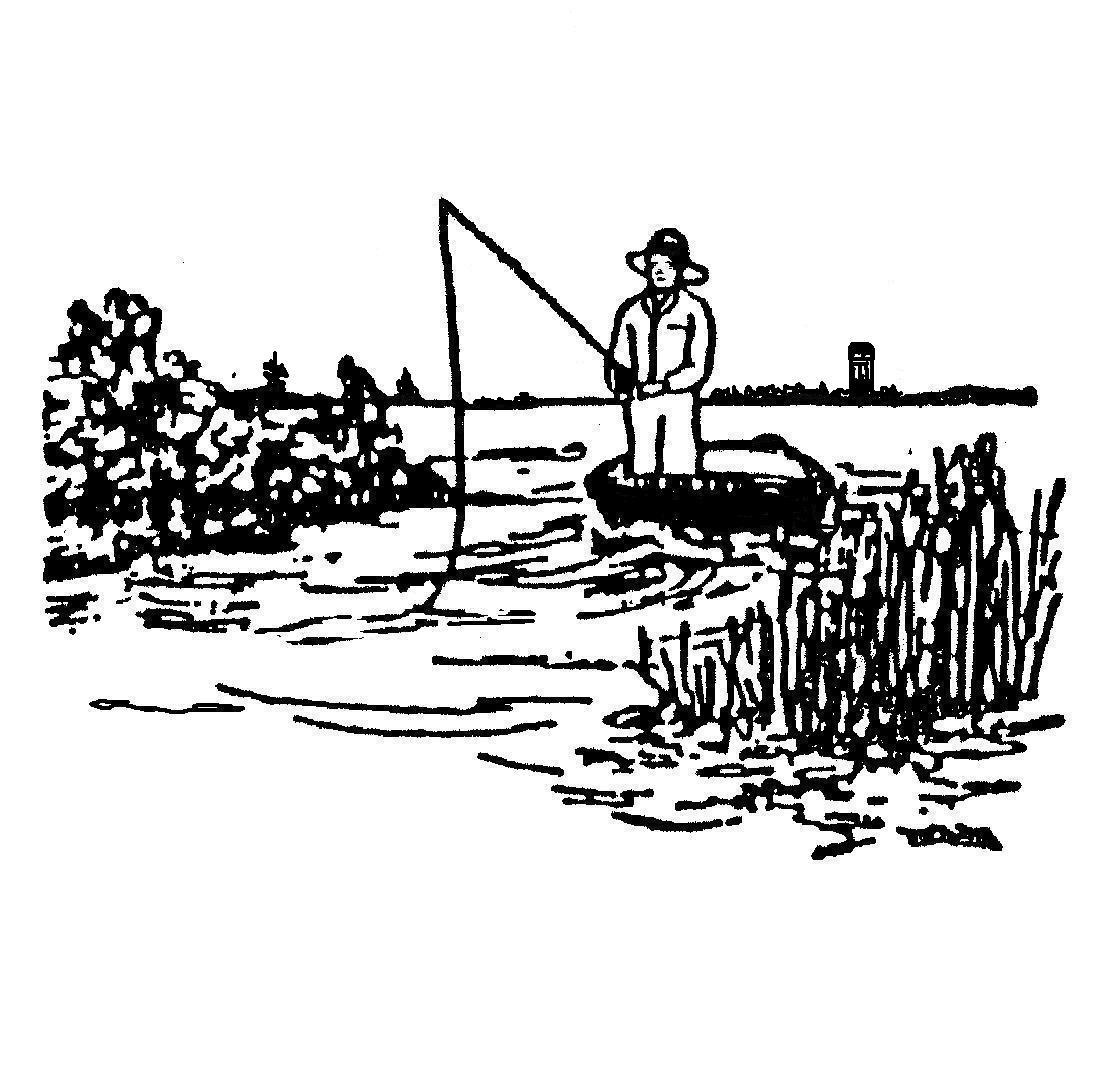 Website Logo