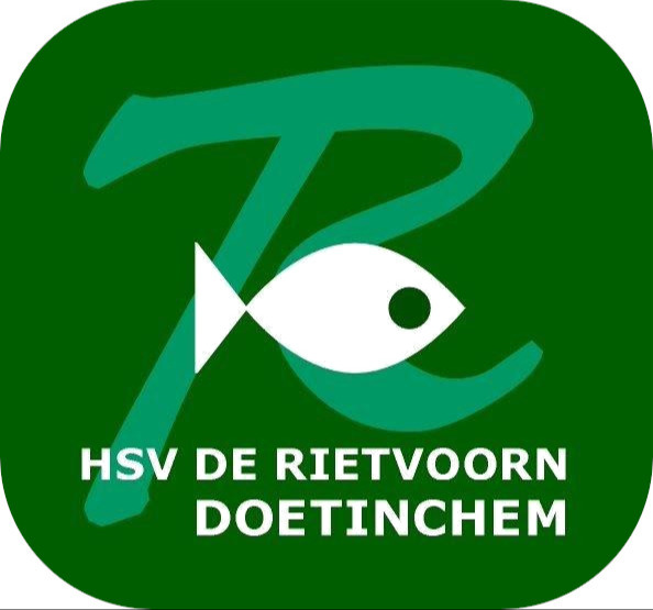 Website Logo
