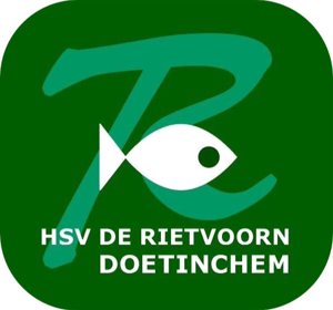 Website Logo