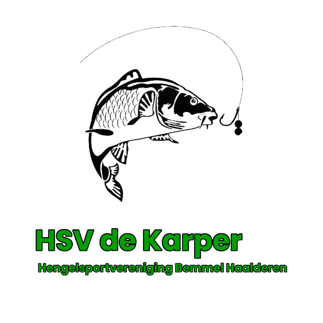 Website Logo