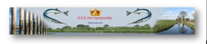 Website Logo
