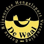 Website Logo