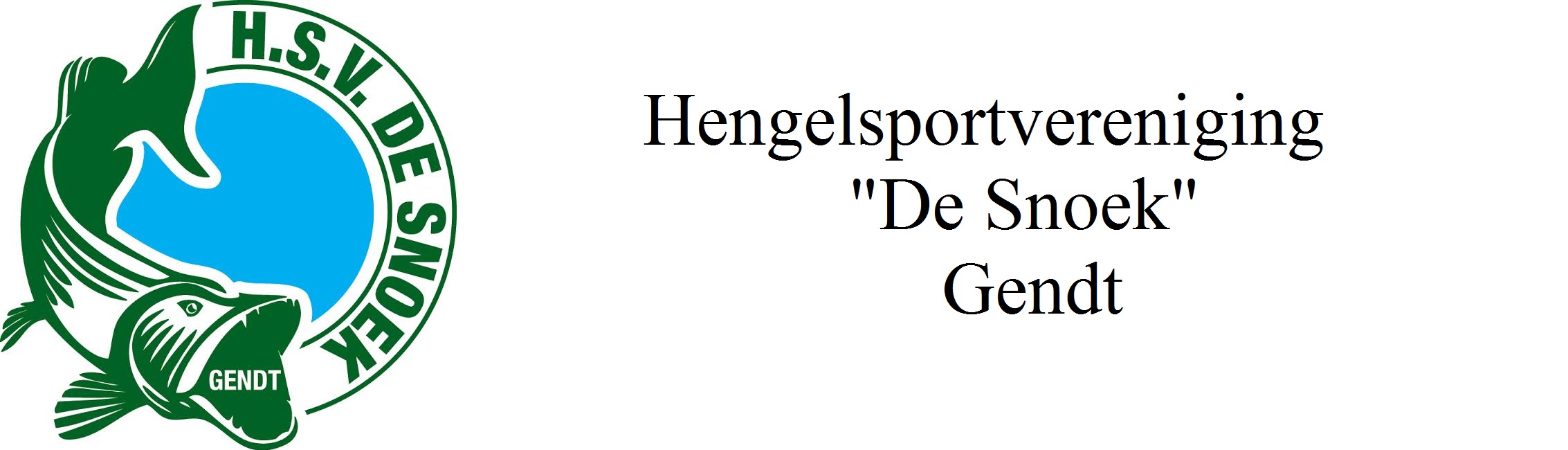 Website Logo