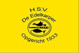 Website Logo