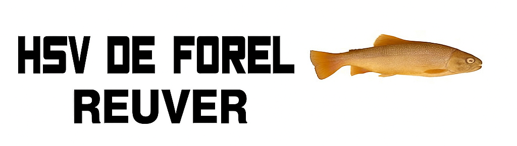 Website Logo