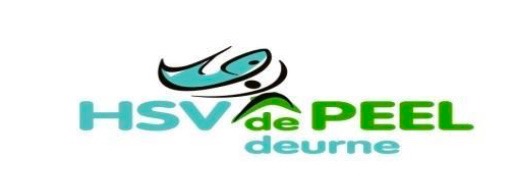 Website Logo