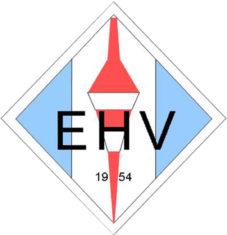 Website Logo