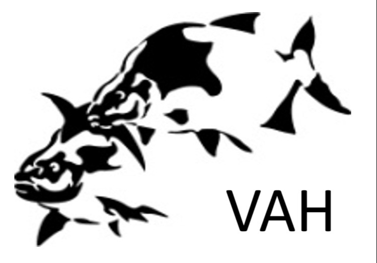 Website Logo