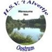 Website Logo