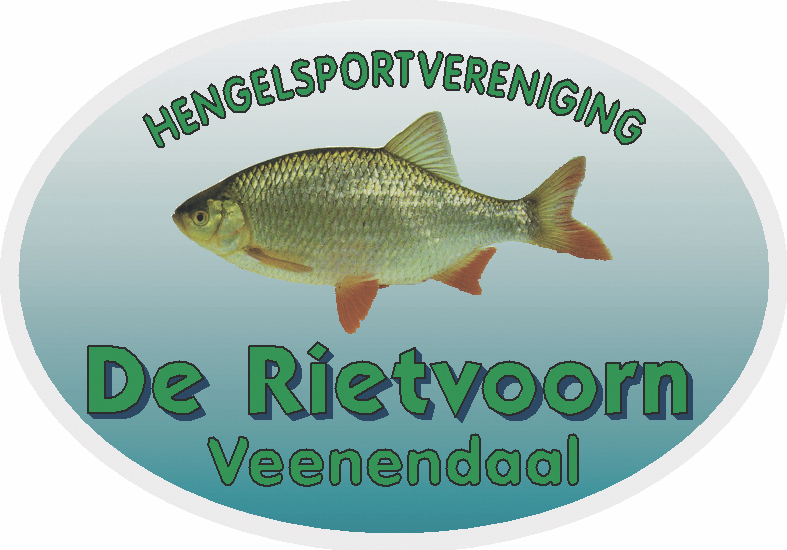 Website Logo