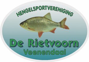 Website Logo