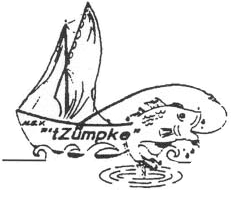 Website Logo