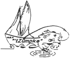 Website Logo