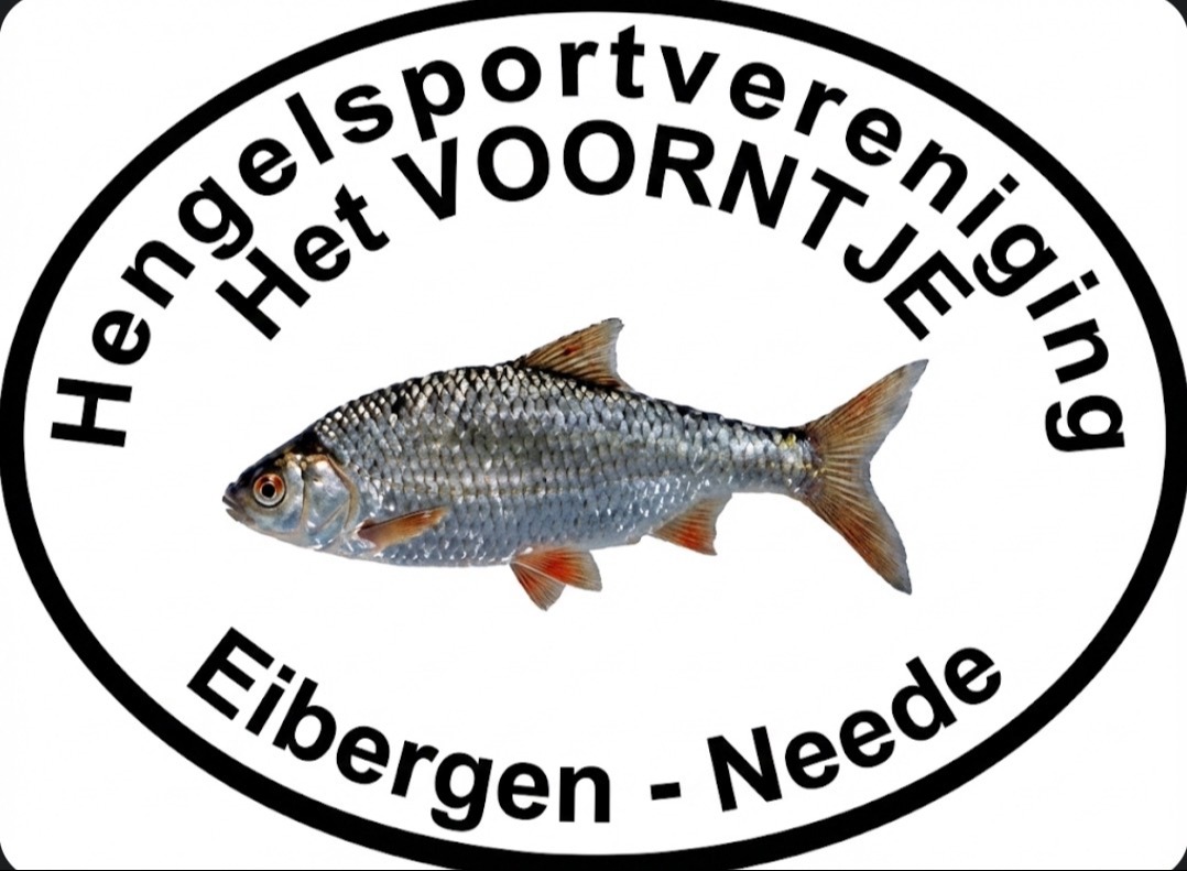 Website Logo