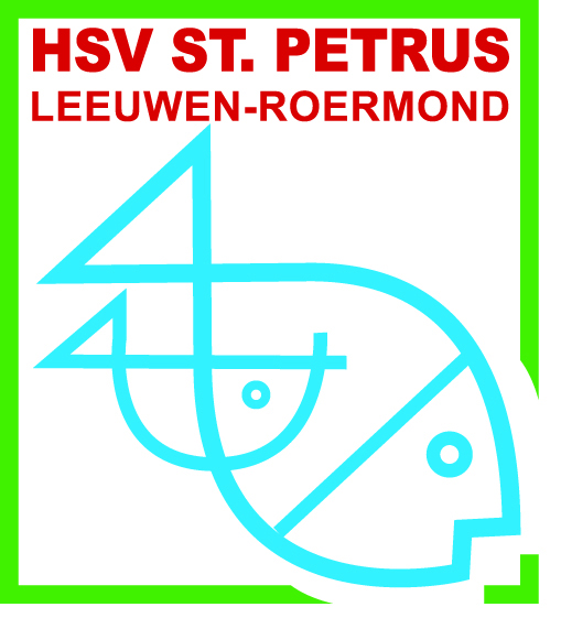 Website Logo
