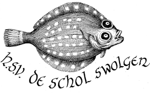 Website Logo